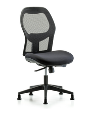 Executive Windrowe Mesh Back Chair with Stationary Glides