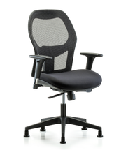 Executive Windrowe Mesh Back Chair with Standard Adjustable Arms & Stationary Glides