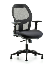 Executive Windrowe Mesh Back Chair with 3D Adjustable Arms & Stationary Glides