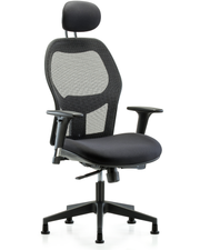 Executive Windrowe Mesh Back Chair with Head Rest, Standard Adjustable Arms, & Stationary Glides