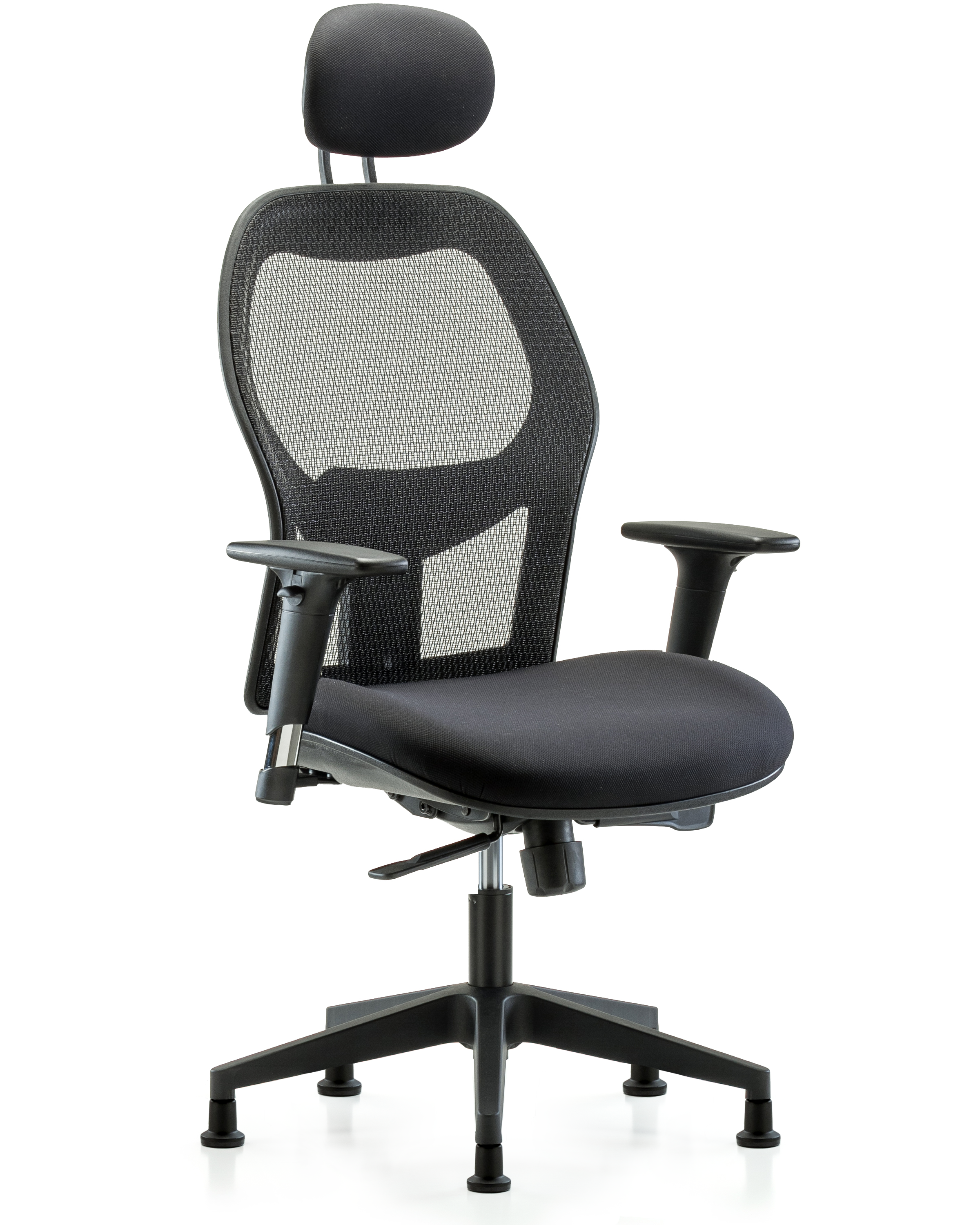 Executive Windrowe Mesh Back Chair with Head Rest, Standard Adjustable Arms, & Stationary Glides