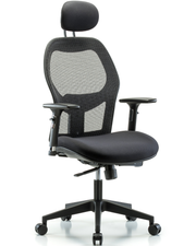 Executive Windrowe Mesh Back Chair with Head Rest, 3D Adjustable Arms, & Casters