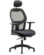 Executive Windrowe Mesh Back Chair with Head Rest, 3D Adjustable Arms, & Stationary Glides