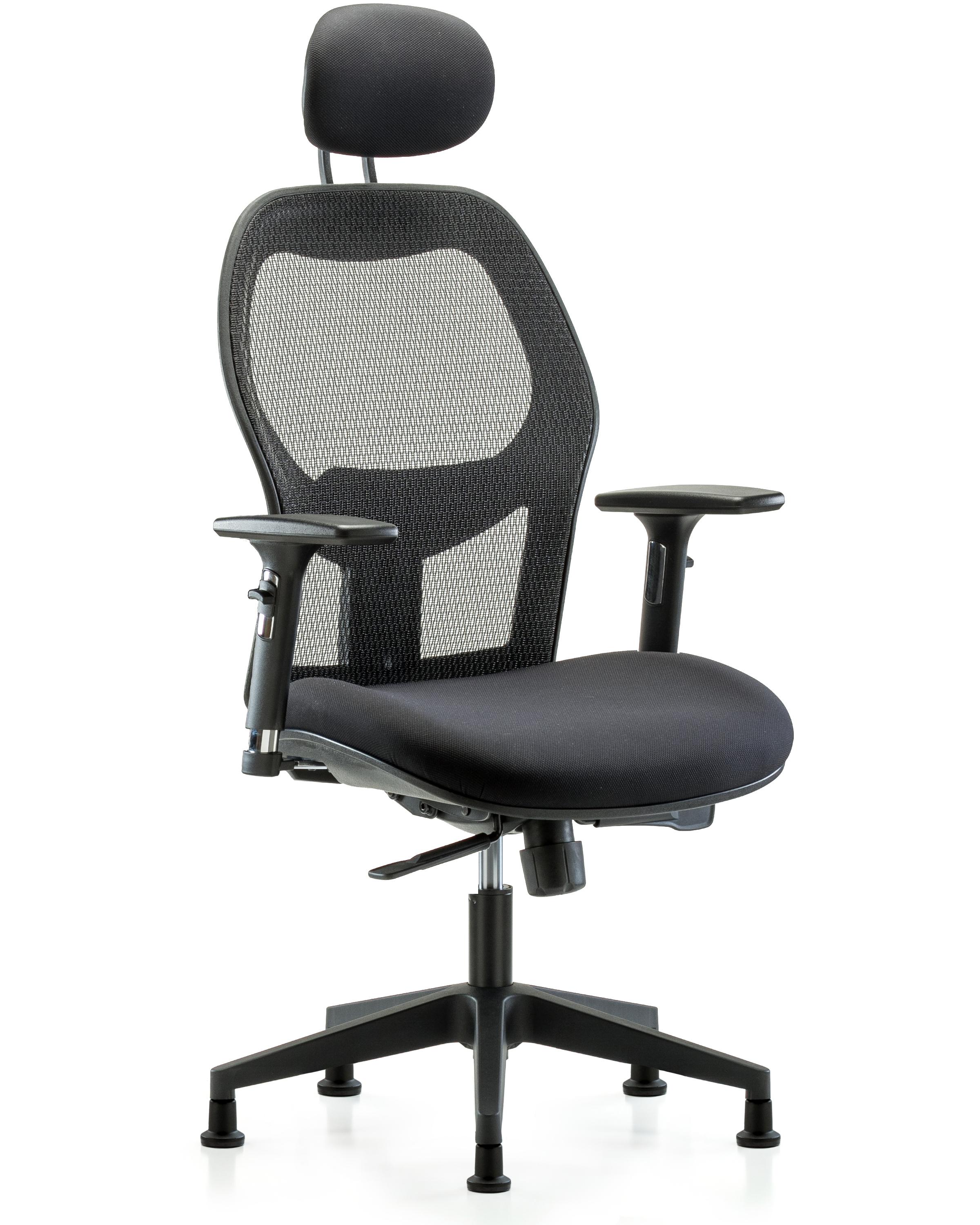 Executive Windrowe Mesh Back Chair with Head Rest, 3D Adjustable Arms, & Stationary Glides