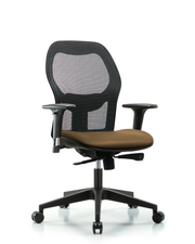 Executive Windova Mesh Back Chair with Standard Adjustable Arms, Taupe Supernova Seat, & Casters
