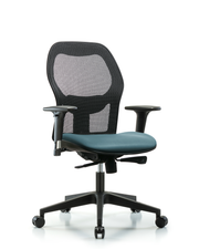 Executive Windova Mesh Back Chair with Standard Adjustable Arms, Storm Supernova Seat, & Casters