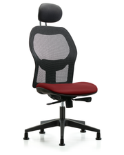 Executive Windova Mesh Back Chair with Borscht Supernova Seat, Head Rest, & Stationary Glides