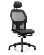 Executive Windova Mesh Back Chair with Carbon Supernova Seat, Head Rest, & Stationary Glides