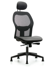 Executive Windova Mesh Back Chair with Sterling Supernova Seat, Head Rest, & Stationary Glides