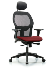 Executive Windova Mesh Back Chair with Borscht Supernova Seat, Head Rest, Standard Adjustable Arms, & Casters
