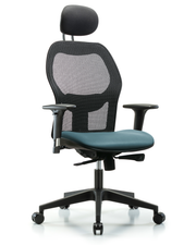 Executive Windova Mesh Back Chair with Storm Supernova Seat, Head Rest, Standard Adjustable Arms, & Casters
