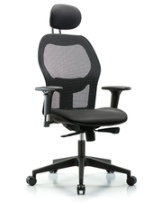 Executive Windova Mesh Back Chair with Carbon Supernova Seat, Head Rest, Standard Adjustable Arms, & Casters