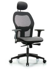 Executive Windova Mesh Back Chair with Sterling Supernova Seat, Head Rest, Standard Adjustable Arms, & Casters