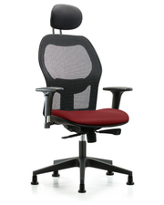 Executive Windova Mesh Back Chair with Borscht Supernova Seat, Head Rest, Standard Adjustable Arms, & Stationary Glides
