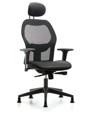 Executive Windova Mesh Back Chair with Carbon Supernova Seat, Head Rest, Standard Adjustable Arms, & Stationary Glides