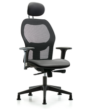 Executive Windova Mesh Back Chair with Sterling Supernova Seat, Head Rest, Standard Adjustable Arms, & Stationary Glides