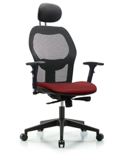 Executive Windova Mesh Back Chair with Borscht Supernova Seat, Head Rest, 3D Adjustable Arms, & Casters