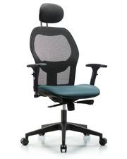 Executive Windova Mesh Back Chair with Storm Supernova Seat, Head Rest, 3D Adjustable Arms, & Casters