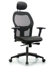 Executive Windova Mesh Back Chair with Carbon Supernova Seat, Head Rest, 3D Adjustable Arms, & Casters