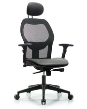Executive Windova Mesh Back Chair with Sterling Supernova Seat, Head Rest, 3D Adjustable Arms, & Casters