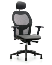 Executive Windova Mesh Back Chair with Sterling Supernova Seat, Head Rest, 3D Adjustable Arms, & Stationary Glides