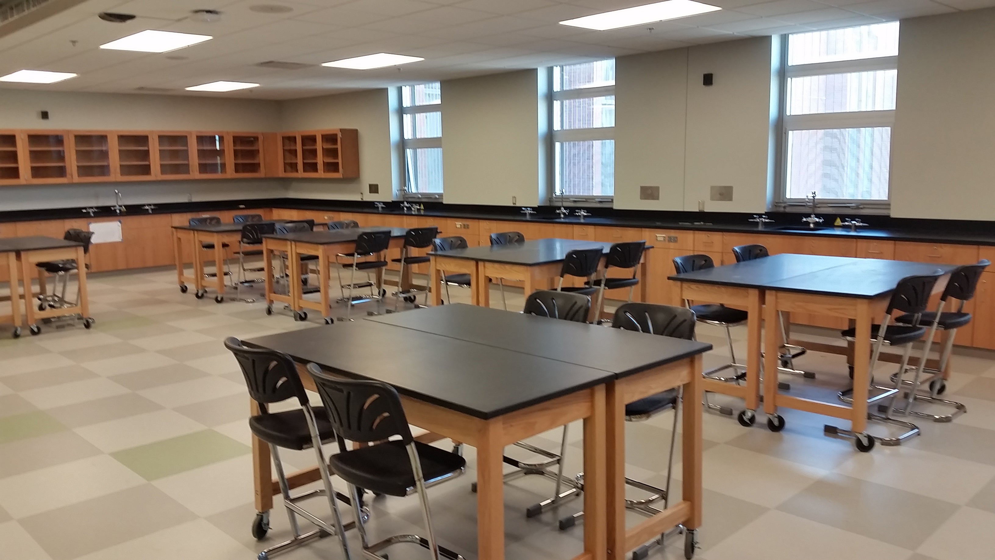 NPS® Wood Science Lab Table, 24"x48"x30", Chemical Resistant Top, Surface Color: Black, Frame Color: Ash (Optional Book Compartment and Castor Add-On)