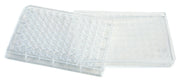 United Scientific® Well Plate, Clear Plastic, 24 Wells, comes with 10