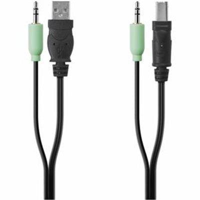Belkin Components F1D9022B06T 6 Ft. USB a-B TAA SKVM USB & Audio Cable