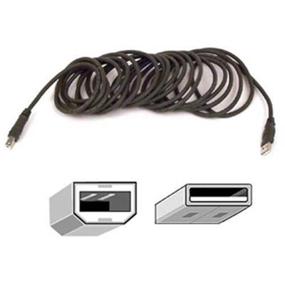 Belkin 10ft USB a/B Device Cable - USB Cable - USB to USB Type B - 10 Ft
