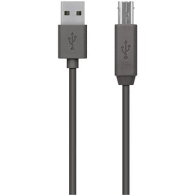 Belkin 1.80 M USB Data Transfer Cable - First End: USB 2.0 Type a - Second End: USB Type B