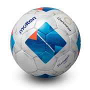 Novelty Soccer Blue/White, Low Bounce Futsal Ball, For Indoor Use, Adult Size 4