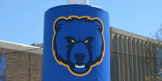 Classic - Logo  &  Letters Digital Prnt. - per Pair - Goal Post Pad Digital Print Options - Unlimited # Of Colors