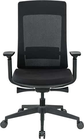 Flexy Swivel Office Chair - Black Fabric