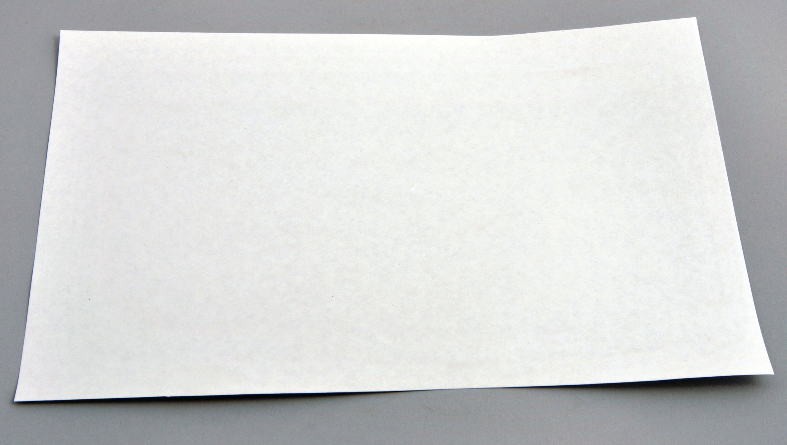 United Scientific® Filter Paper, Rectangular, Grade 1, 8.5" X 11", comes with 100