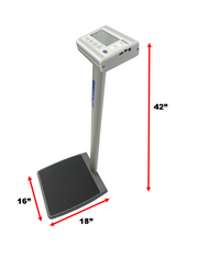 Sports And Fitness Column Scale With Bmi