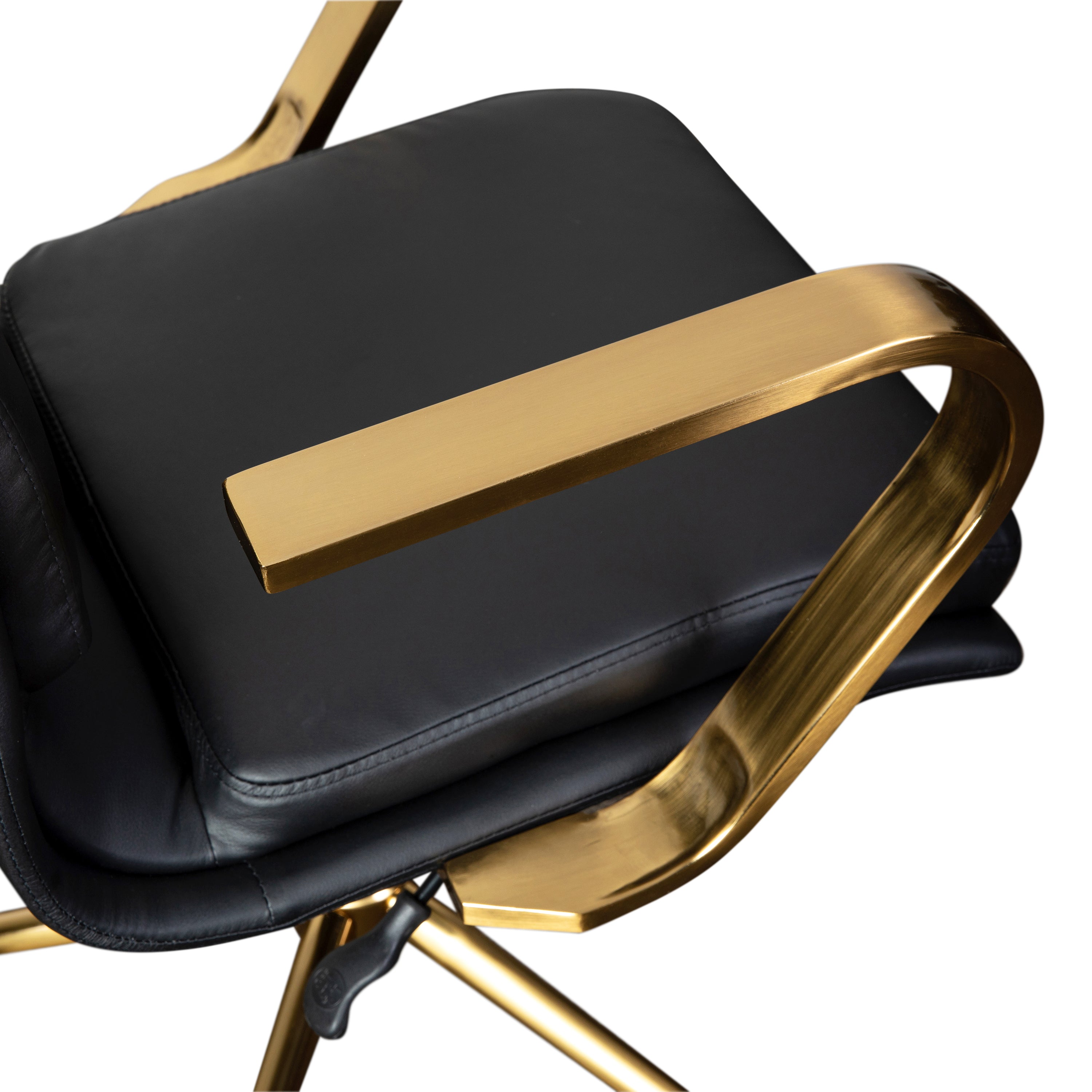 James Mid-Back Designer Executive LeatherSoft Office Chair with Brushed Gold Base and Arms, Black