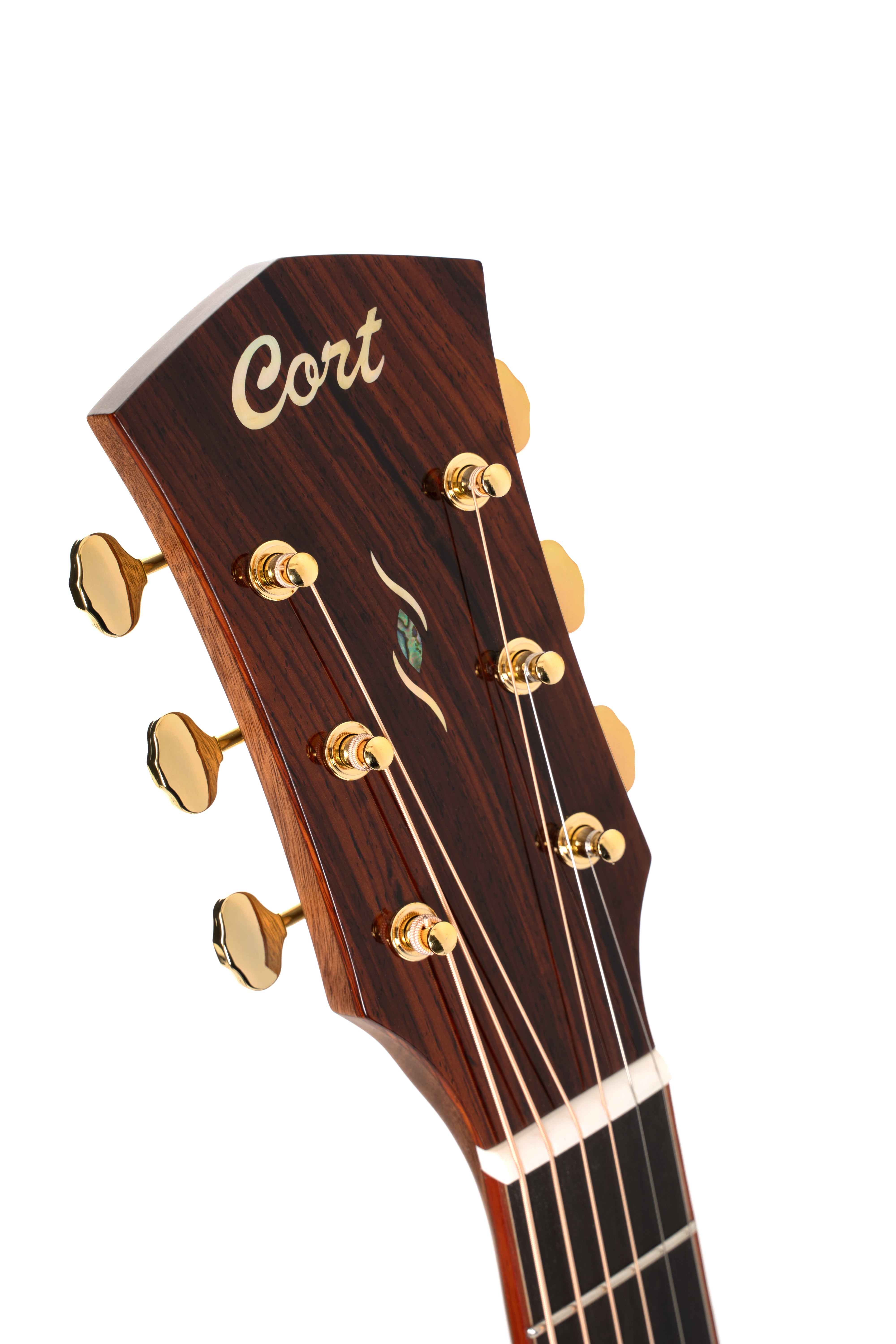 Cort GOLDA10 Gold Series A10 Cocobolo Grand Auditorium Acoustic Electric Guitar