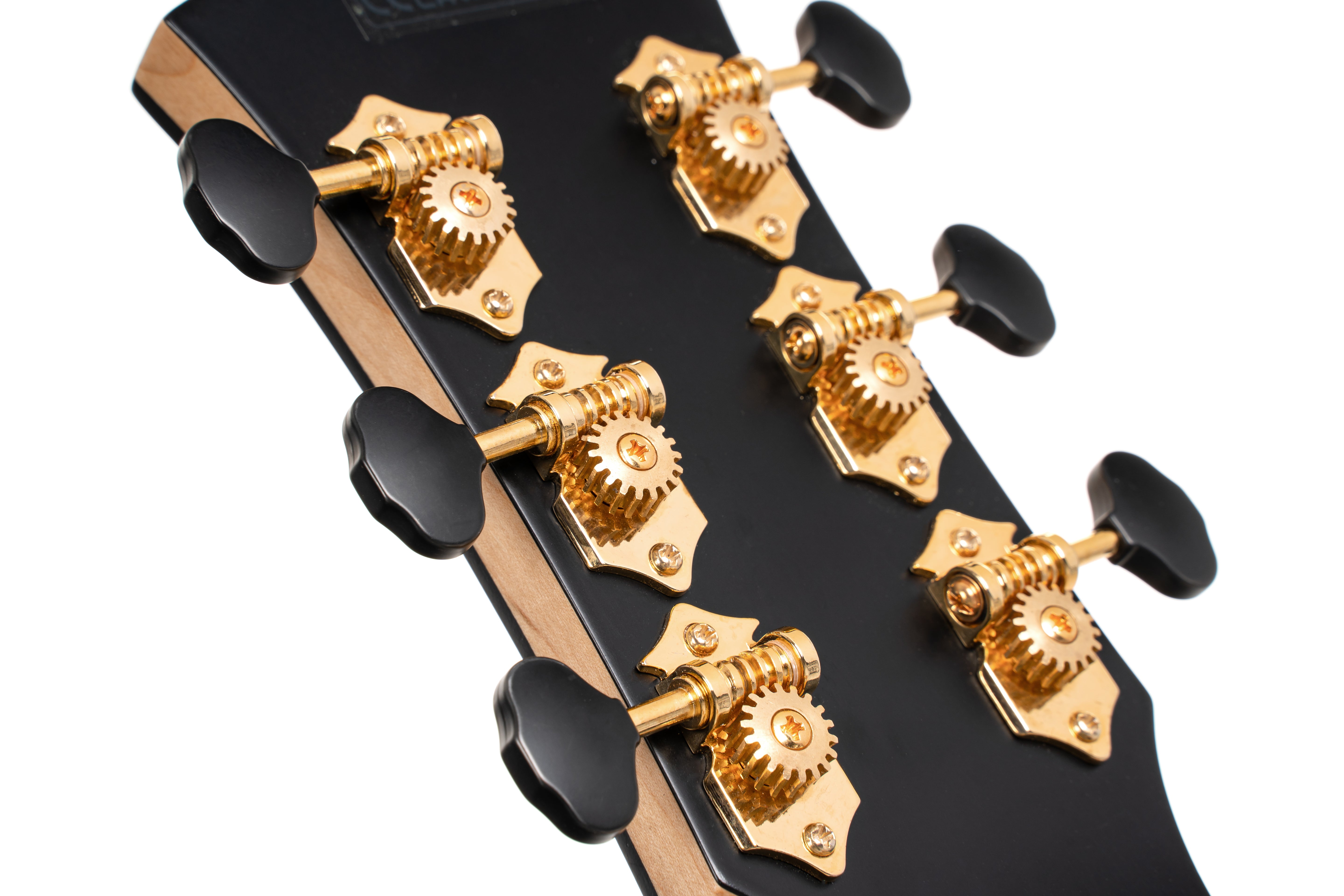 Cort GOLDPASSION Gold Series Gold Passion Acoustic-Electric Guitar. Natural Glossy
