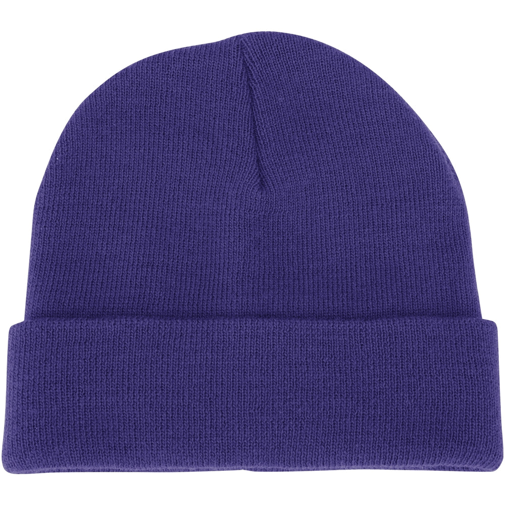 Polar Cuff Beanie - Purple, One Size Fits Most