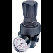 Compact Pressure Regulator, 3/8 Inch FNPT, 250 PSI, 65 CFM
