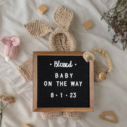 Gracie 10x10 Felt Letter Board with Wooden Frame, 389 PP Letters Including Numbers, Symbols and Icons, Canvas Carrying Case, Torched Wood/Black Felt