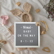 Gracie 10x10 Felt Letter Board with Wooden Frame, 389 PP Letters Including Numbers, Symbols and Icons, Canvas Carrying Case, White Wash/Gray Felt