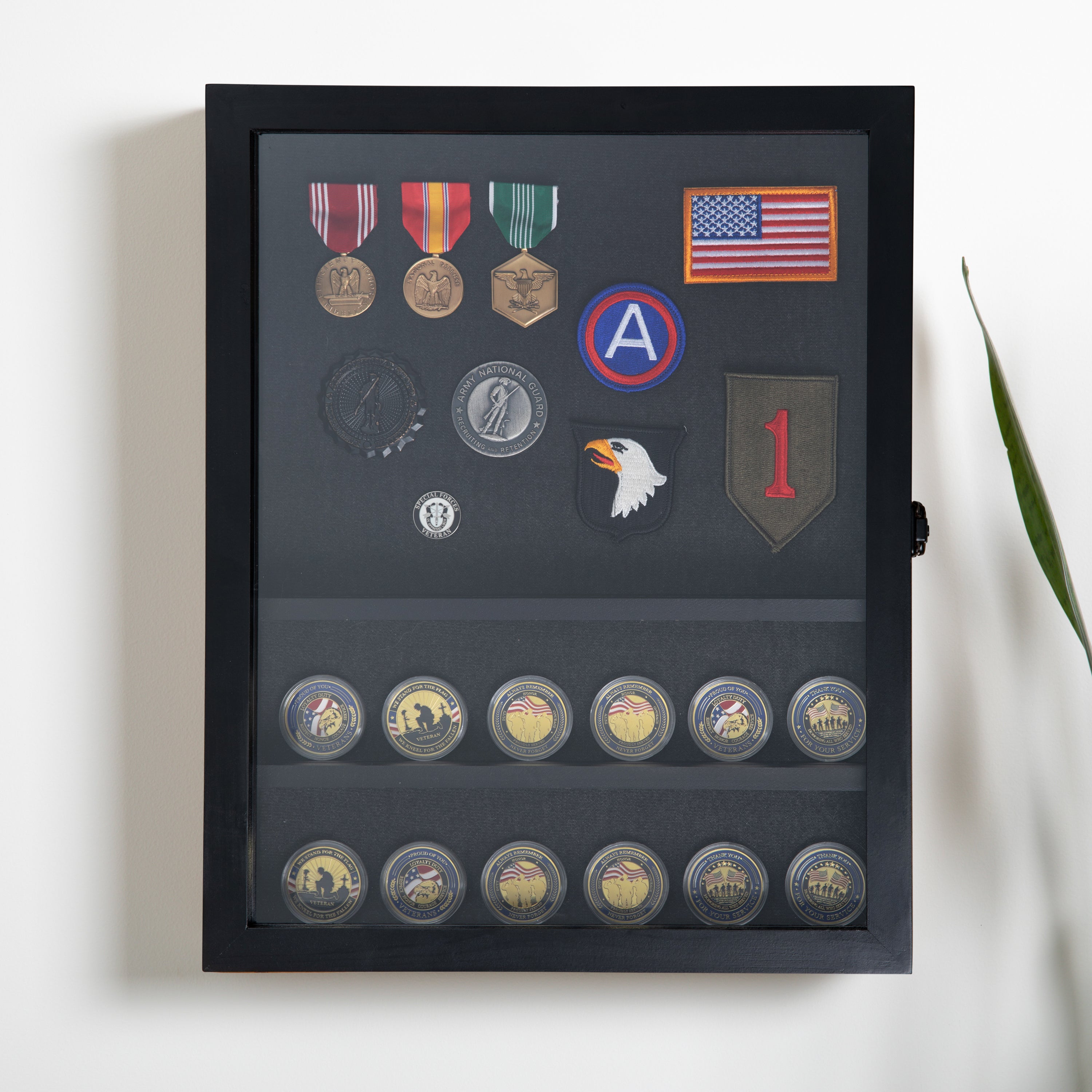Maverick 14.5x17.5 Solid Pine Medals Display Case with 4 Channel Grooved Removable Shelves in Black