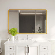 Ava 48" x 30" Metal Deep Framed Wall Mirror - Large Accent Mirror for Bathroom, Entryway, Dining Room, & Living Room in Gold