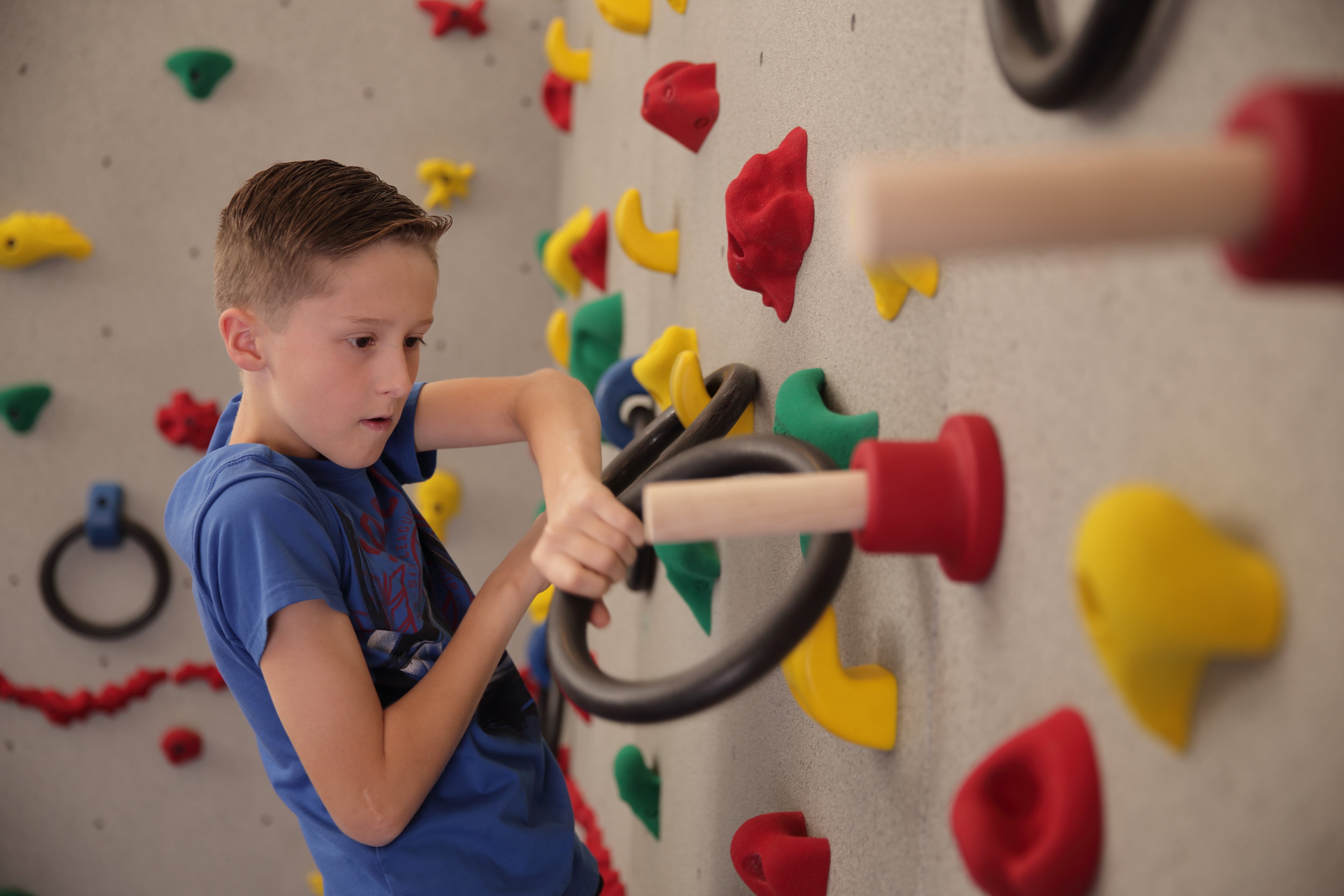 Ultimate Traverse Wall Challenge Course - Hooks Only