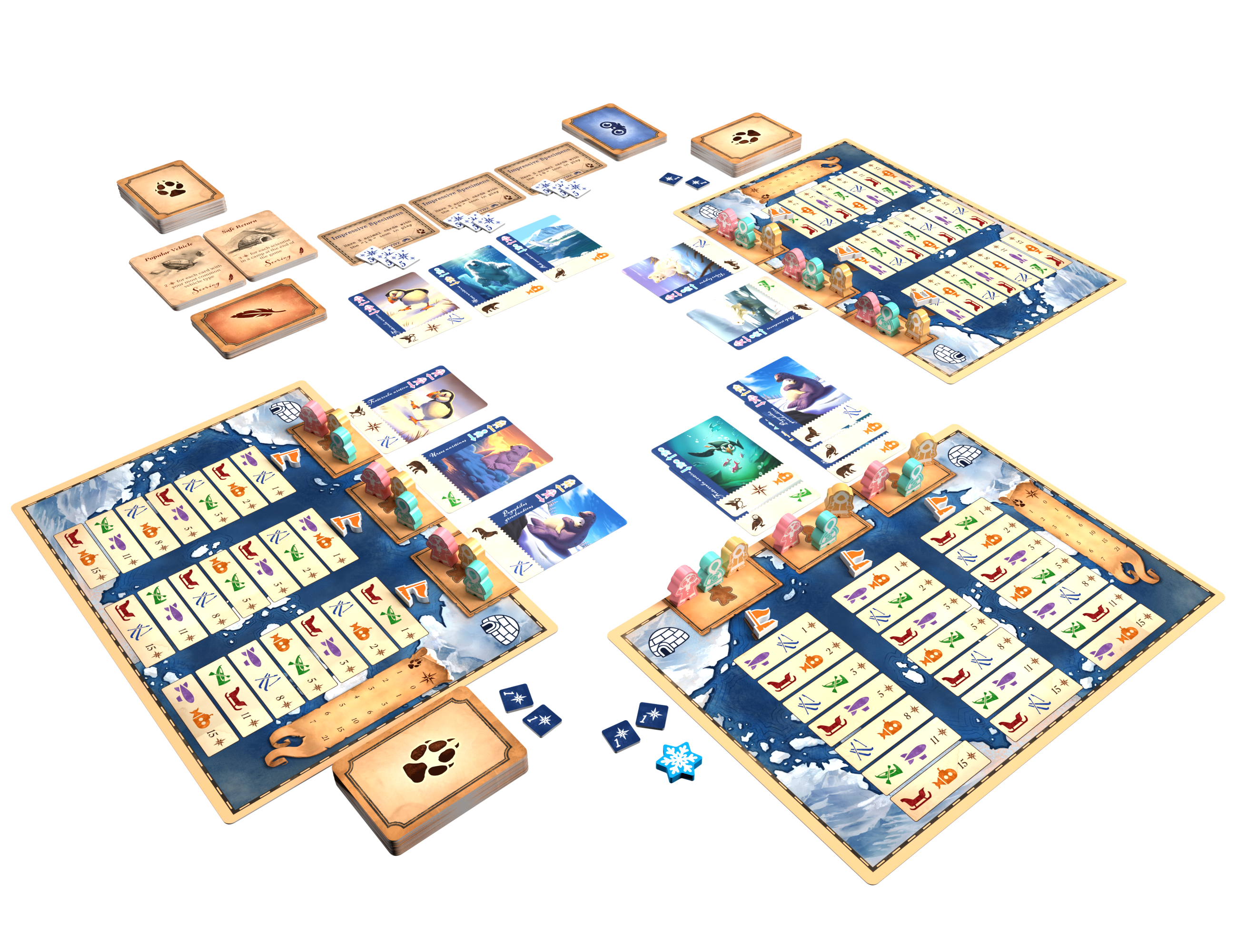 Borealis: Arctic Expeditions