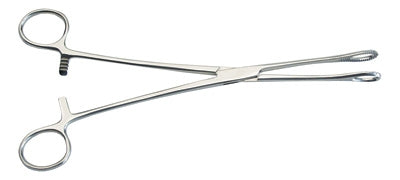 Foerster Sponge Forceps, Serrated, 9 1/2"