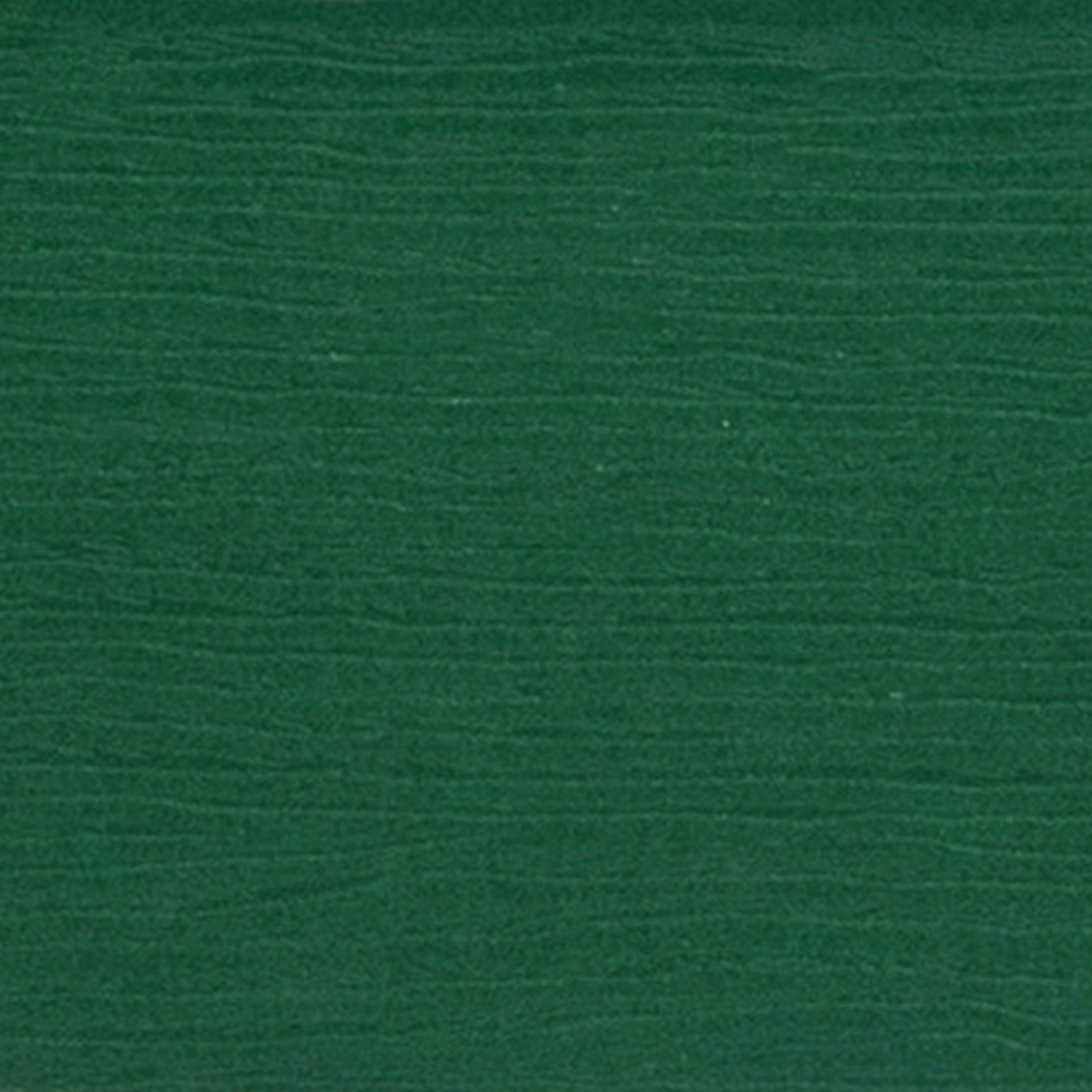 Charlestown Commercial All-Weather Poly Resin Wood Adirondack Chair in Green