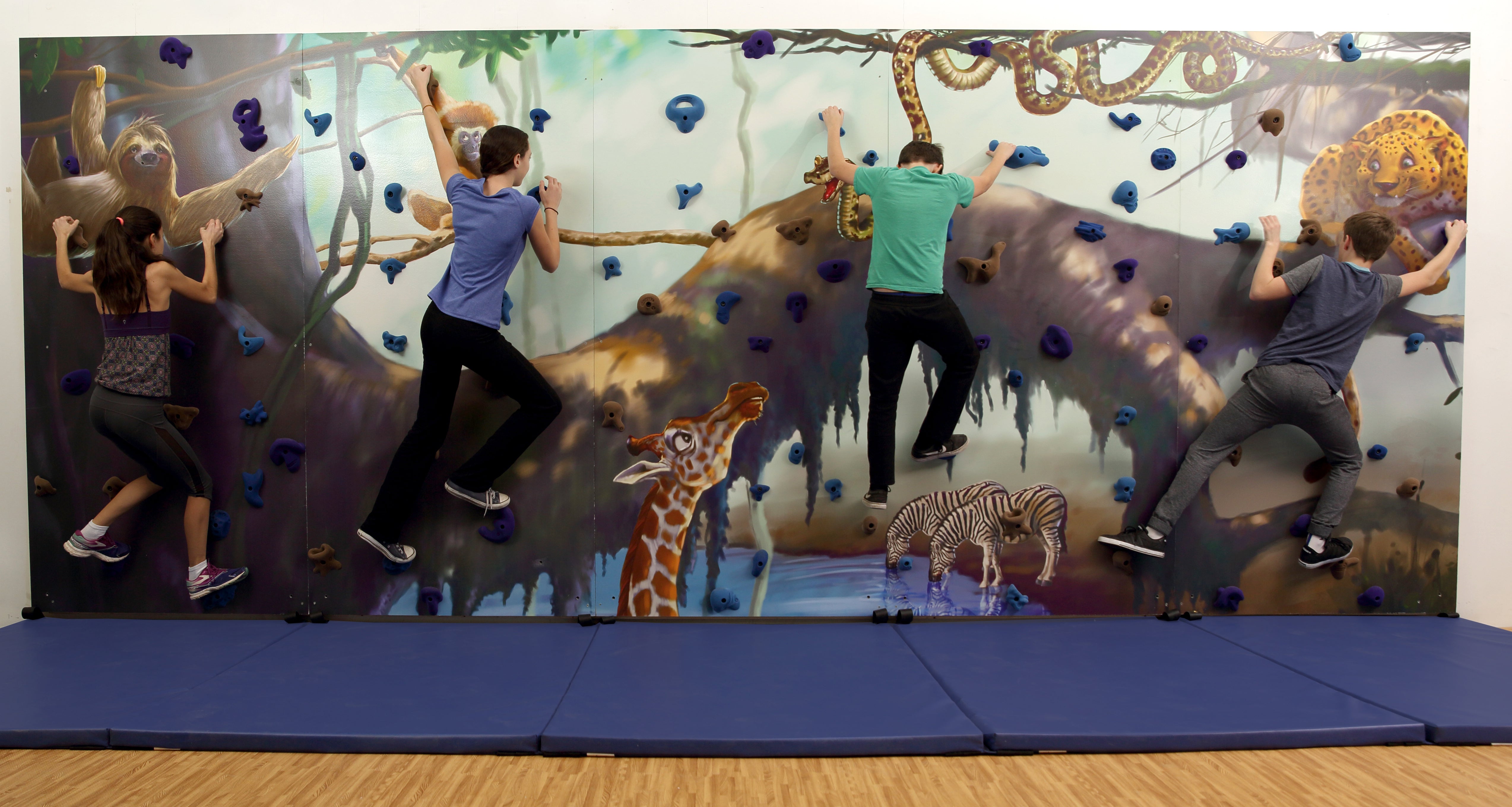 MURAL WALLS (Mountain, Ocean, Outer Space or Jungle) - 8'H x 20'L