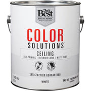 Color Solutions Latex Self-Priming Flat Ceiling Paint, White, 1 Gal.